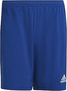 Mens Entrada 22 Shorts