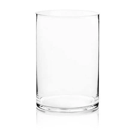 WGVInternational Cylinder Glass Vase