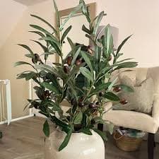 BohoSM 5 Pack Olive Branches Artificial Plants Greenery Stems Olive Leaves Fake Fruits Silk Plants Faux Olive Stem fo Vase : Amazon.sg: Home