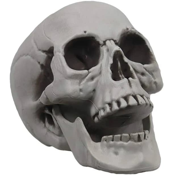 Mokry Party Life Size Skeleton Skull