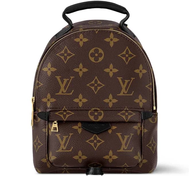 Louis Vuitton Palm Springs Mini Monogram
