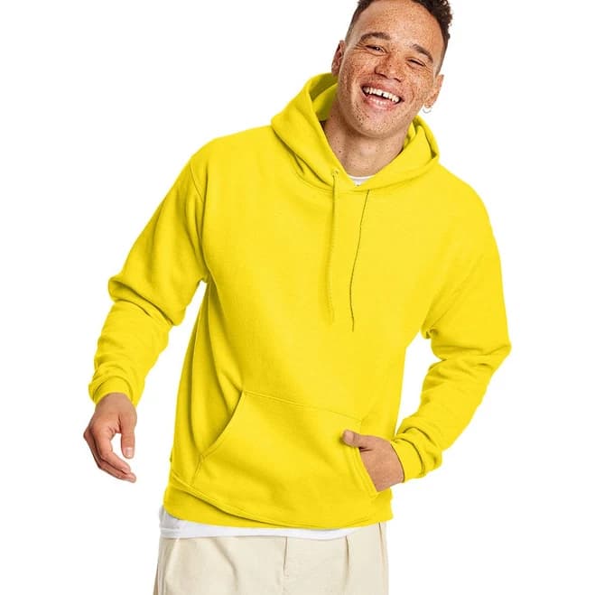 Hanes Men's EcoSmart Hooded Sweatshirt