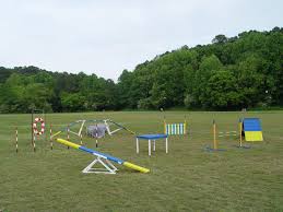 Agility Equipment Combo - Perfect Set For Starters – Dog Agility USA