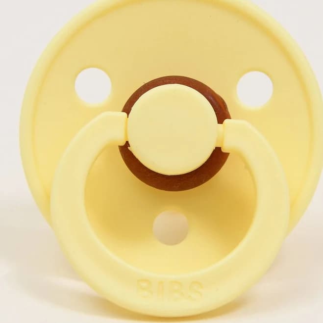 Baby Beau & Belle Bibs Pacifier 2 Pack