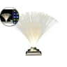 Video frame trigger
