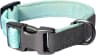 Video frame trigger