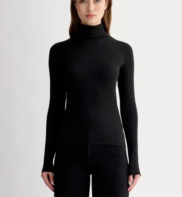 Everlane Luxe Rib Turtleneck