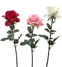 Two's Company TC 52600-20x Individual Stem Roses