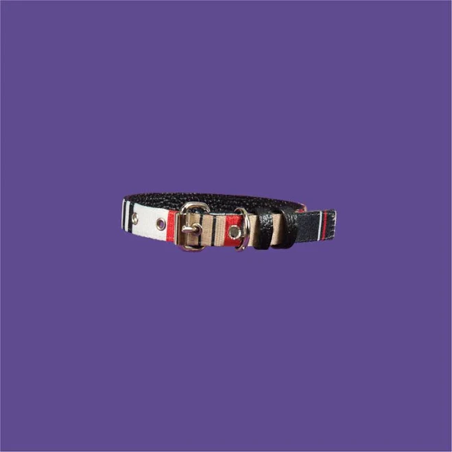 Red Striped Webbing Collar, Dog Collars Small