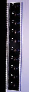 Video frame trigger