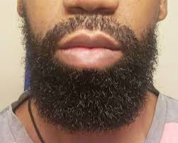 BEARDGANG Premium BEARD BALM. Tame Your Beard. No More Flyaways. Ayurveda, Bhringraj, Amla. Grow Your Beard. Lustrous Beard. Facial Hair - Etsy
