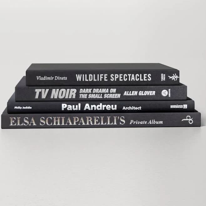 AllModern Black & White Decorative Coffee Table Books - Set of 4