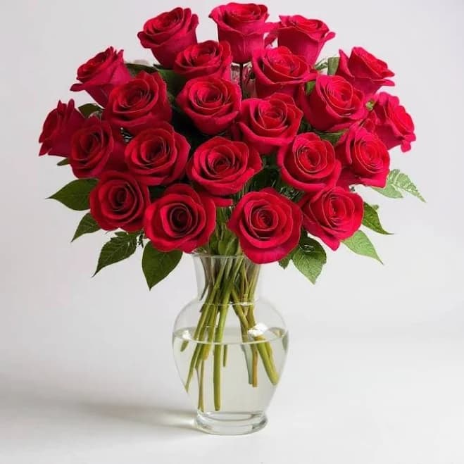 Birthday Flowers NYC Delivery | 2 Dozen Red Roses Bouquet with Baby’s Breath – Classic Glass Vase