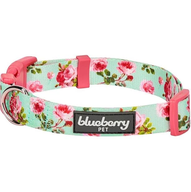 Blueberry Pet Spring Scent Inspired Floral Rose Adjustable Dog Collar