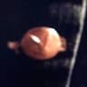 Video frame trigger
