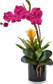 Amazon.com: Nearly Natural Orchid and Bromeliad Silk Arrangement, Dark Pink : Home & Kitchen