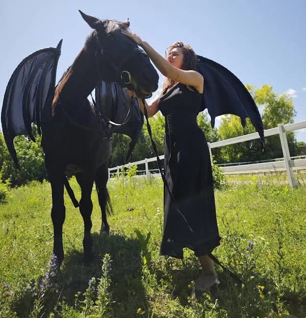 Horse wings, Pegasus wings, horse cosplay, dragon wings for horse, horse costume for horse day, rider wings