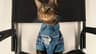 Video frame trigger