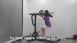 Hack Squat Machine, Leverage Squat Calf Raise Machine, Leg Exercise With Weight Storage Pins And Band Hooks, Home Gym Machine - AliExpress