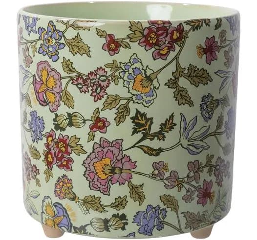 Drew Barrymore Beautiful 8" Sage Wildflower Footed Ceramic Planter