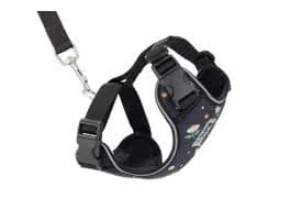RC Pet Adventure Kitty Cat Harness