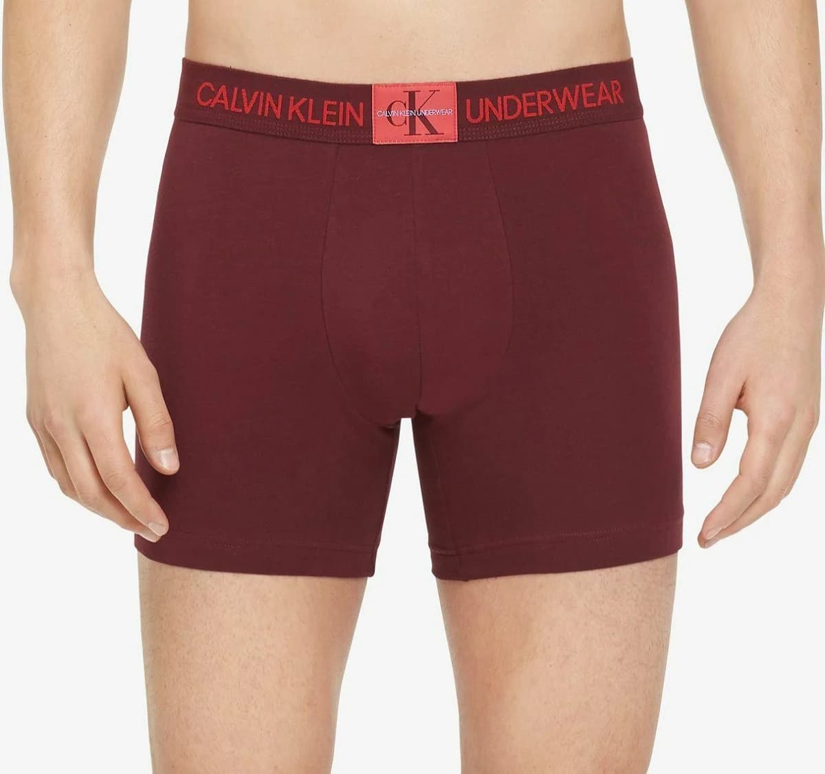 Calvin Klein Mens Classic Logo Underwear Boxer Briefs