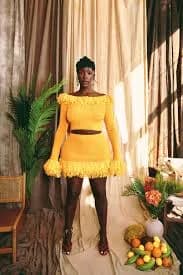 Sianeh Fringe Skirt Set