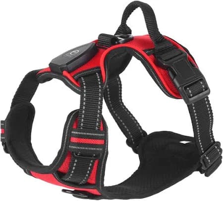 Fresh Fab Finds Light Up Dog Harness