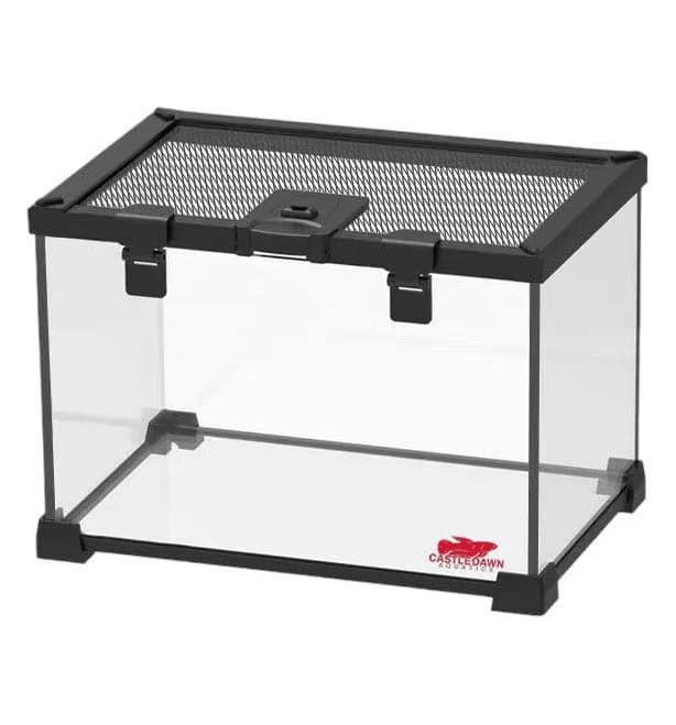 Castle Dawn Aquatics Terrarium
