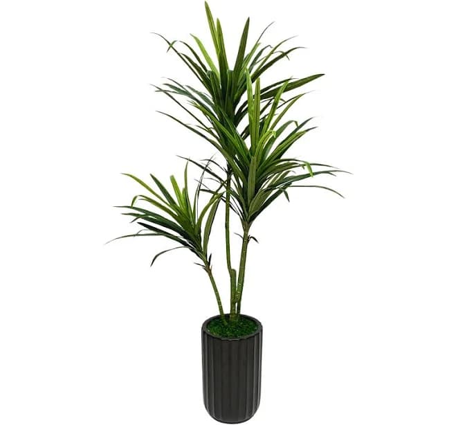 4ft Faux Dracena Ribbed Ceramic Cylinder