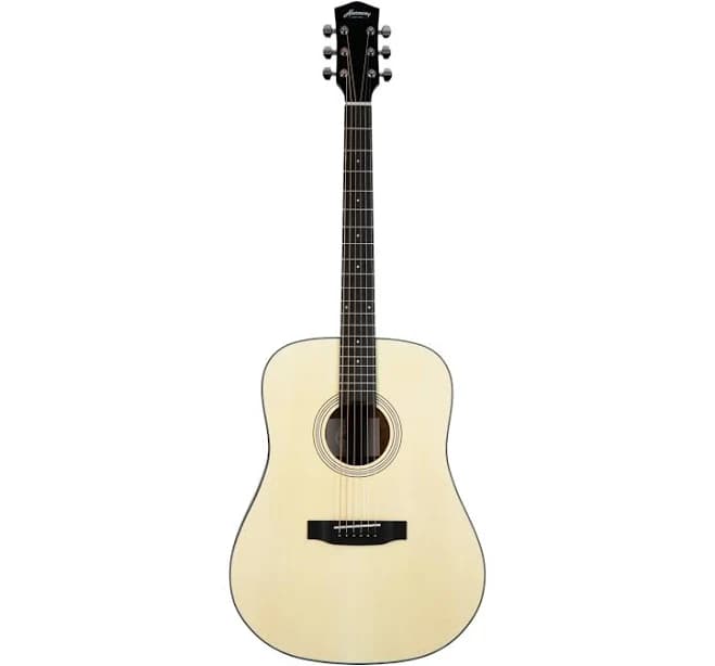 Foundation Series Terra Dreadnought Acoustic Guitar