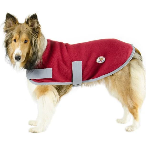 Cutenfuzzy Polar Fleece Lounger All Season Dog Coat for Indoors and Outdoors