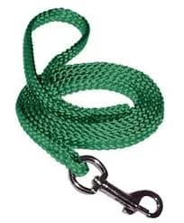 4' Small Braided Dog/Cat Leash