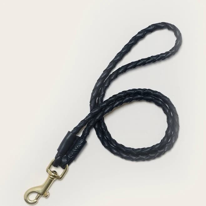 savas The Lanyard