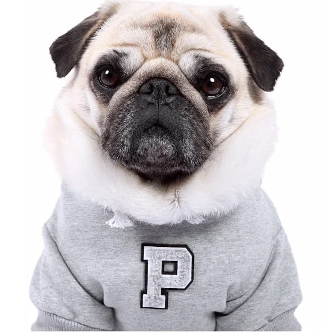 Personalised Grey Patch Dog Hoodie, Chenille Embroidered Grey Letter Patch, Dog Sweater, Dog Jumper, Dog and Puppy Clothing, Gifts for Dogs