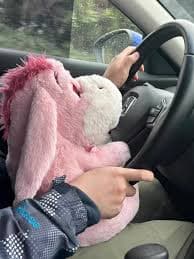 Authentic Disney Winnie The Pooh Sakura Eeyore Medium Plush Disneyland 2024 NEW | eBay