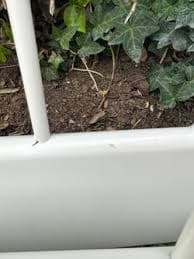 White IKEA LEIRVIK Bed frame (full size) for Sale in Riverside, CA - OfferUp