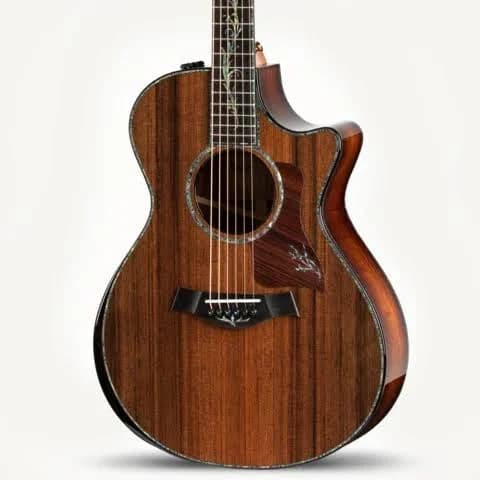 Taylor PS12ce Honduran Rosewood Acoustic Guitar