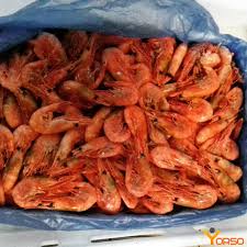 Northern prawn, precooked, 50/70