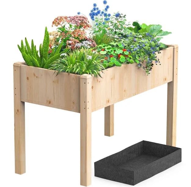 Gianna Raised Garden Bed