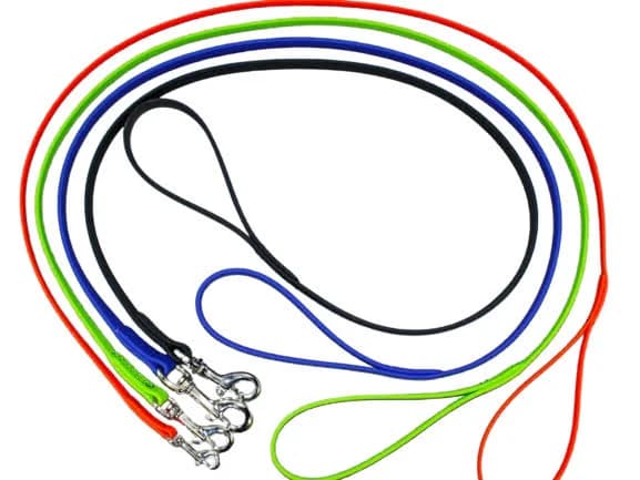Biothane 4' Snap Leash