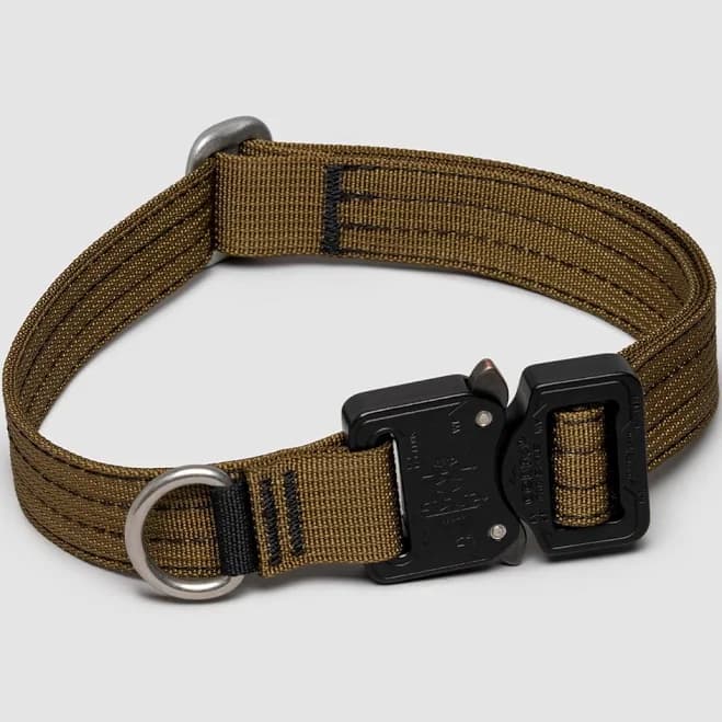 Lifetime Pro Collar Tactical Collar