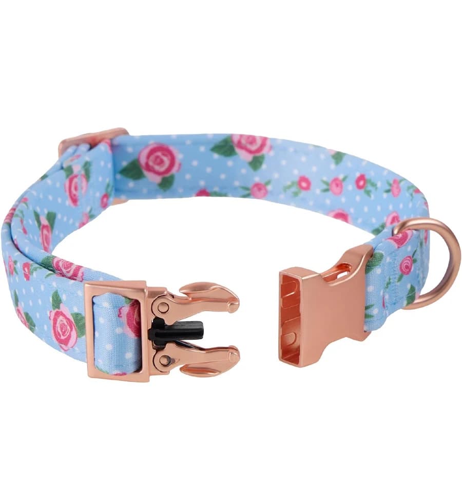 Top Paw Blue Rose Dog Collar