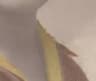Video frame trigger