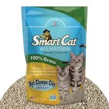 Pioneer Pet SmartCat All Natural Clumping Litter 20lb