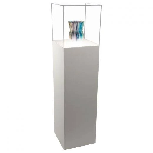Lighted White Pedestal Case