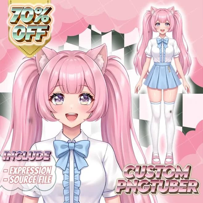 Personalized PNG Tuber Model, Anime Avatar Commission, Cute Reactive Character for Streaming, Custom Virtual Persona Design, Customizable