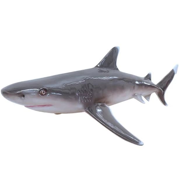 Silvertip Shark Life Size Statue Hanging