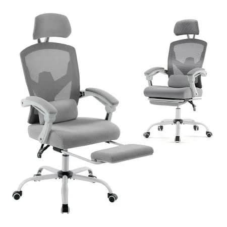 Edx Ergonomic High Back Office Chair with Reclining & Lumbar Support, Adjustable Headrest, Footrest, Padded Arms, Gray