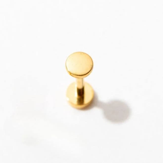 Larissa Loden Titanium Circle Flat Back Studs